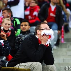 Public Viewing in der Allianzarena 2013