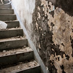 Misplaced Souls: UrbEx Photography