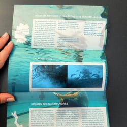 Flyer Innenseite