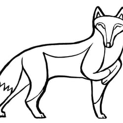 Fuchs-web