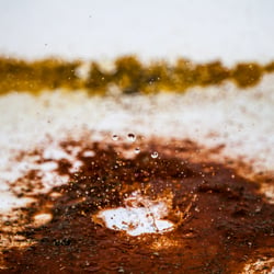 Splash