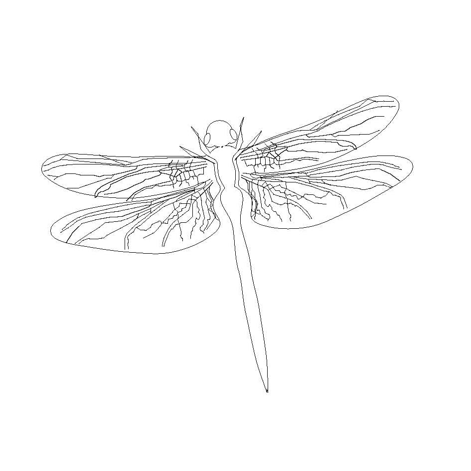 Illustration – Libelle