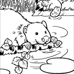 Vorlese-Malbuchreihe Artensiv kids – Malbuch Wald
