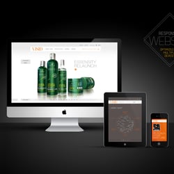 Visid Website