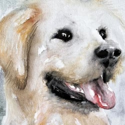 Golden Retriever – Aquarell auf Echt-Bütten Aquarellkarton