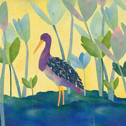 Storch im Wasser