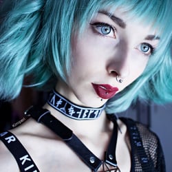 Blue Bird