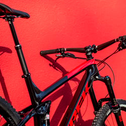 Trek Remedy