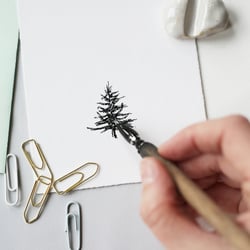 Tintenillustration / Tanne