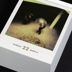 Poladarium 2015