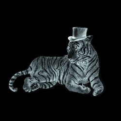 Gentleman