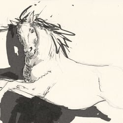 Pferd3medium