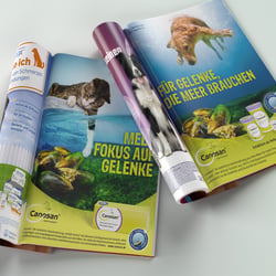BOEHRINGER INGELHEIM – Keyvisual und Anzeigen Canosan