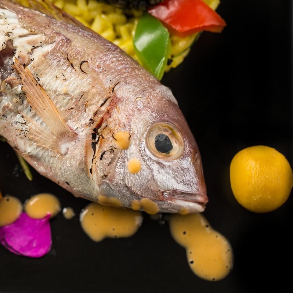 Foodfotos Braune 3
