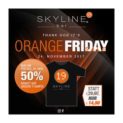 Flyer skyline 19