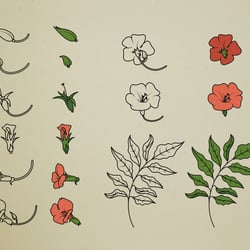 Bignoniaceae