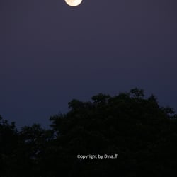 Moon – Jun. 2014 © by Dina.T