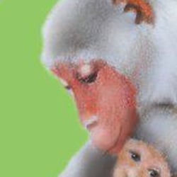 Buntstift und Photoshop