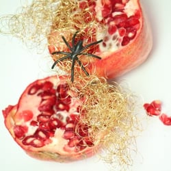 Granatapfel November 2012