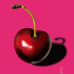 Kirsche – Digitale Food-Illustration