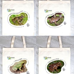 Biodiversity conservation