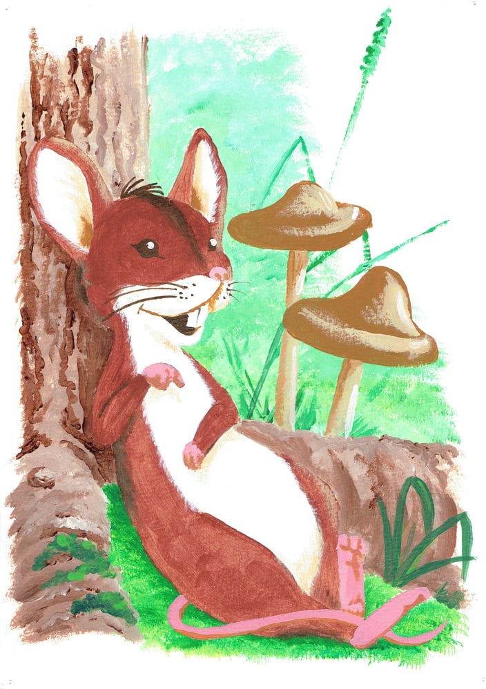 Kinderbuch 2