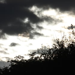 Sonnenschein