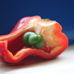 Food Fotografie 2012 Paprika in Farbe No 06