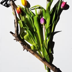 Ein Blumenstrauß
