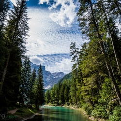 Photo and Editing by Isabella Hepp
