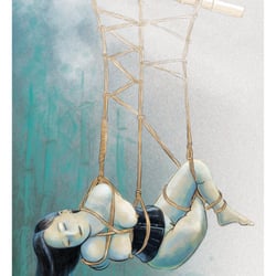 07-038-shibari1