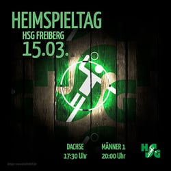 HSG Freiberg – Die Dachse