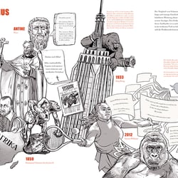 Gorilla (Sachbuch)