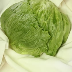Eisbergsalat Nov. 2012