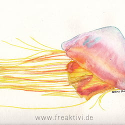 Colorful Jellyfish