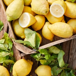 Marius Prions Photo FOOD / Lemon, organic, fresh