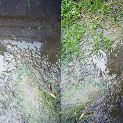 mud