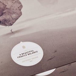 Anthony Drawn – A Beautiful Fragile Balance LP Cover – Detail
