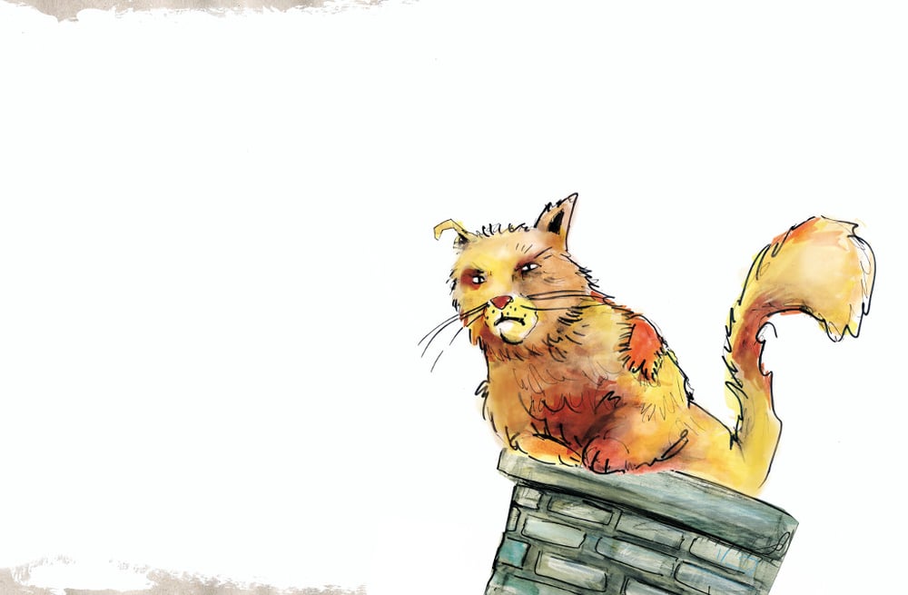 Hase Rettich – Kinderbuchillustration
