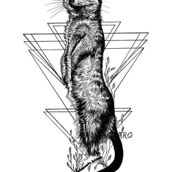 Erdmännchen Grafik-Illustration