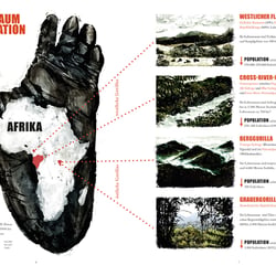 Gorilla (Sachbuch)