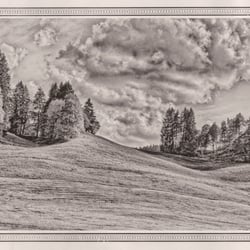 Paysage pastoral