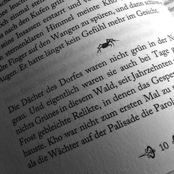 Buchsatz & Illustration: Götter, Molche, Drachenzähmer: Vier phantastische Geschichten, Selfpublishing