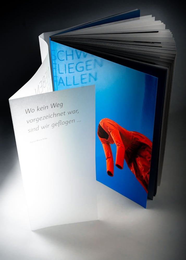 Umschlag: Paperback mit transparentem Schutzumschlag, weiss bedruckt