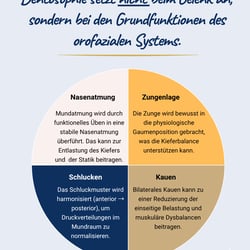 Instagram-Wachstum für Zahnärztin & Dentosophie-