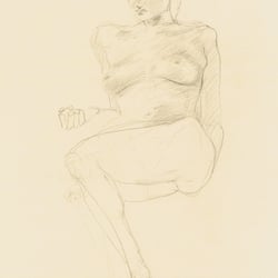 Live Drawings