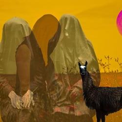 Collage for a stop motion animation