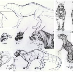Anatomy studysheet Basure
