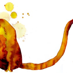 Katzenkleckse
