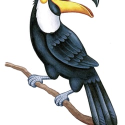 Tukan